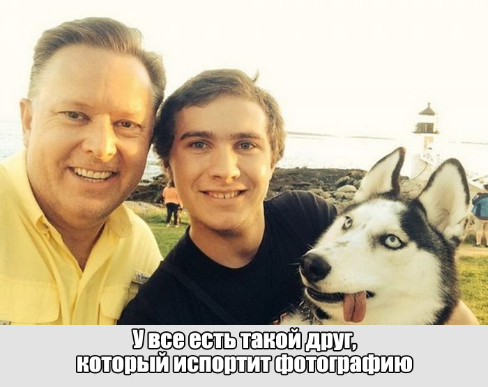 Порция картинок