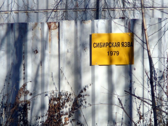 История эпидемии Сибирской язвы в СССР История эпидемии Сибирской язвы в СССР