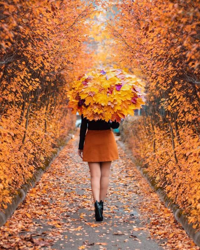 Фотографии вместо тысячи слов