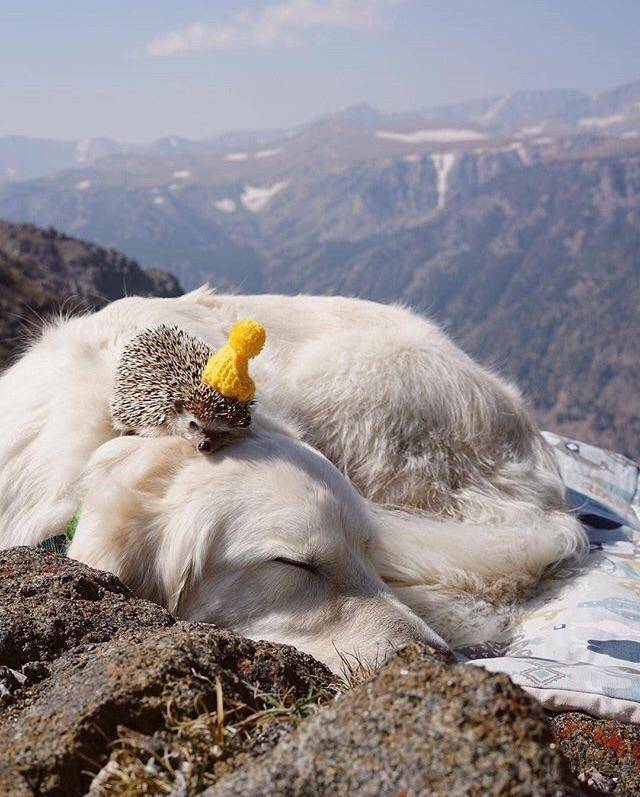 Фотографии вместо тысячи слов