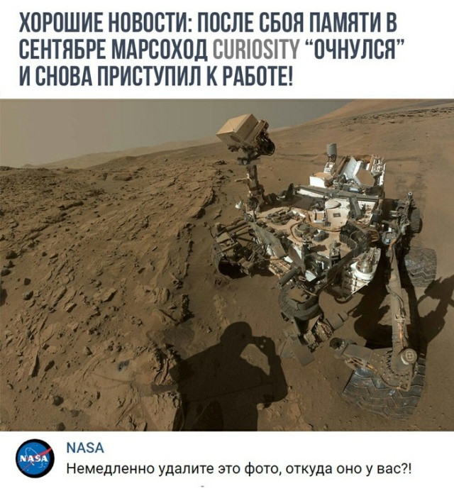 Прикольные картинки