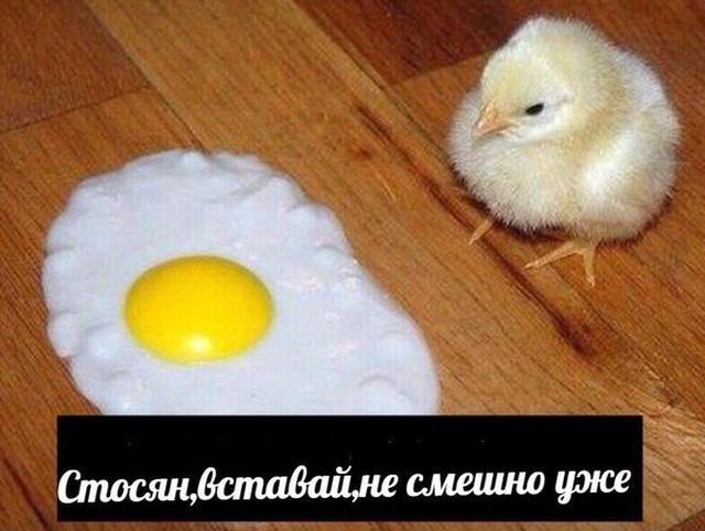 Шутки и юмор без смысловой нагрузки