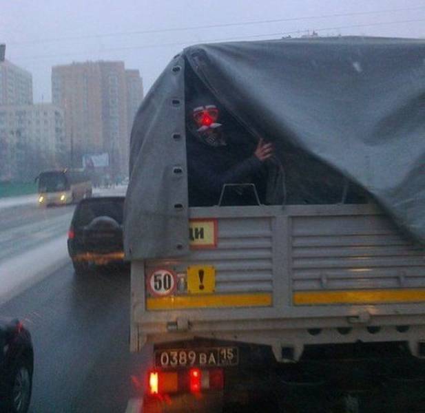 Снимки с просторов нашей бескрайней