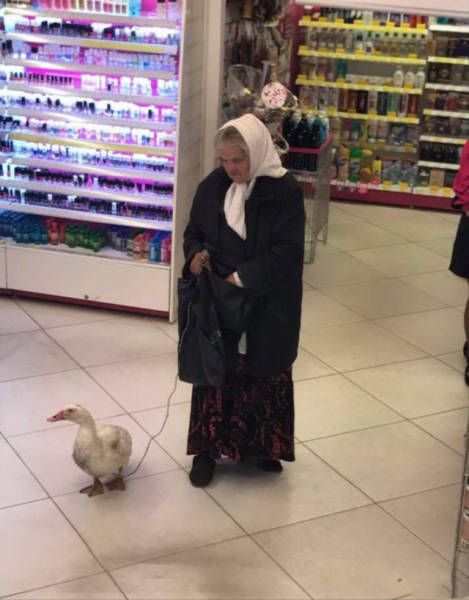 Снимки с просторов нашей бескрайней