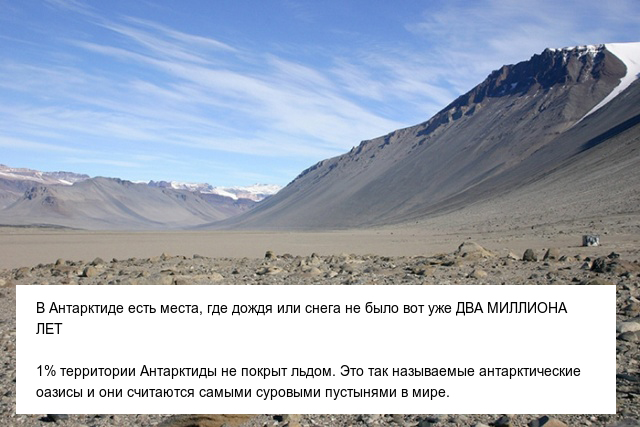 Интересные и невероятные факты об Антарктиде, в которые сложно поверить