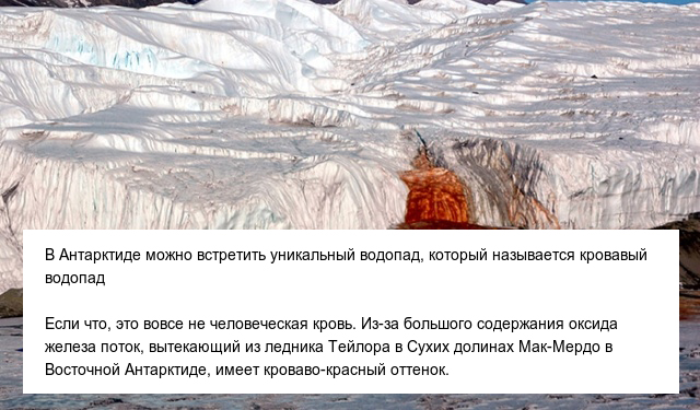 Интересные и невероятные факты об Антарктиде, в которые сложно поверить