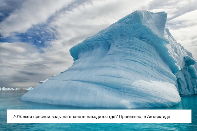 Интересные и невероятные факты об Антарктиде, в которые сложно поверить