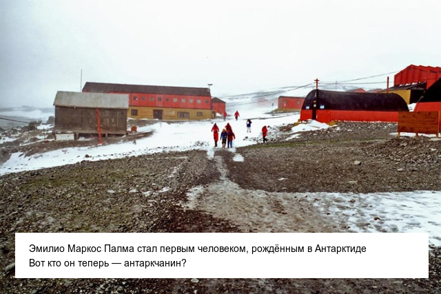 Интересные и невероятные факты об Антарктиде, в которые сложно поверить