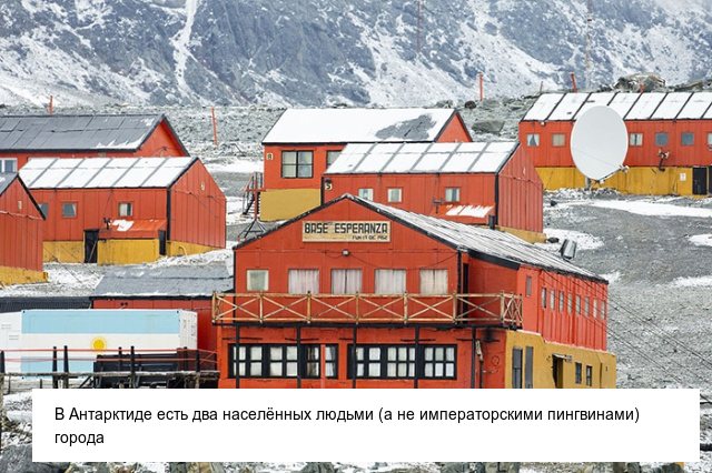 Интересные и невероятные факты об Антарктиде, в которые сложно поверить