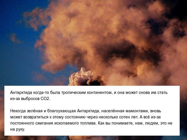 Интересные и невероятные факты об Антарктиде, в которые сложно поверить