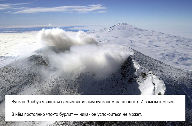 Интересные и невероятные факты об Антарктиде, в которые сложно поверить