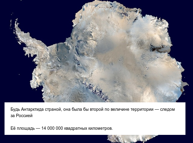 Интересные и невероятные факты об Антарктиде, в которые сложно поверить