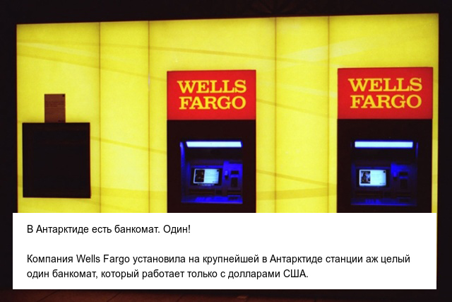 Интересные и невероятные факты об Антарктиде, в которые сложно поверить