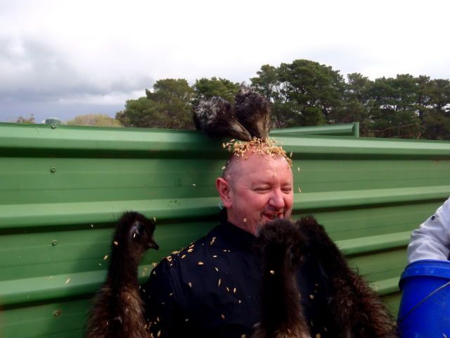 Прикольные картинки