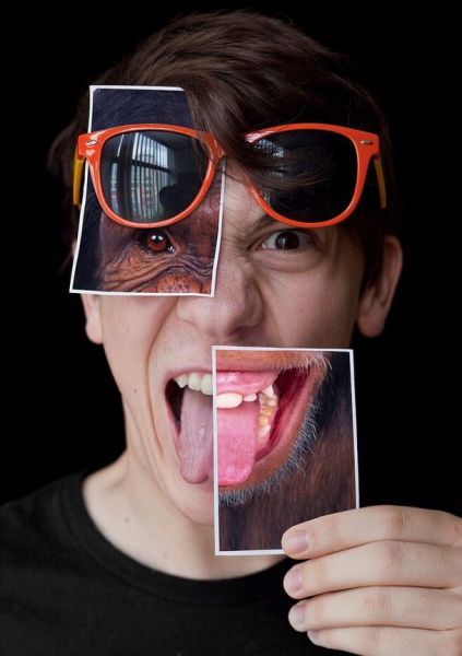 Прикольные картинки