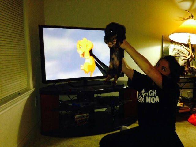 Прикольные картинки