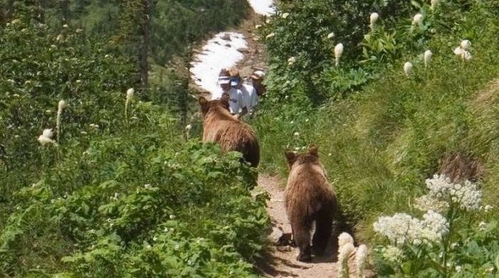 Прикольные картинки (83 фото)