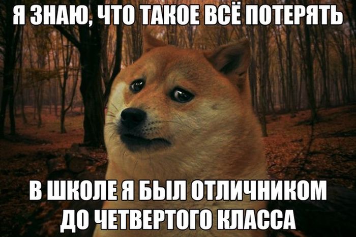 Прикольные картинки (83 фото)