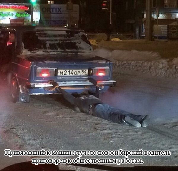 Прикольные картинки (83 фото)