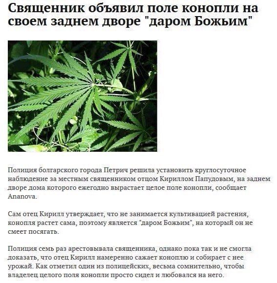 Прикольные картинки (83 фото)