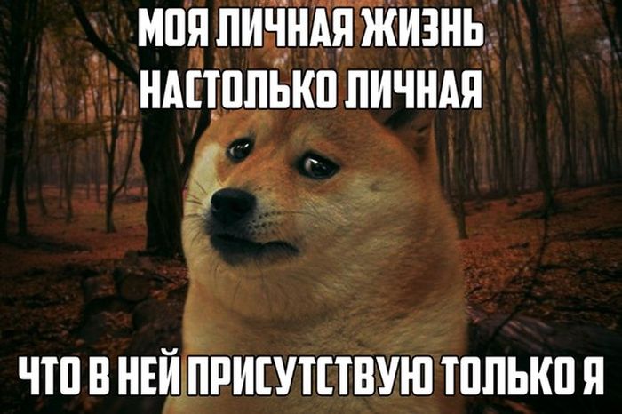 Прикольные картинки (83 фото)