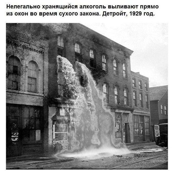 Прикольные картинки (83 фото)