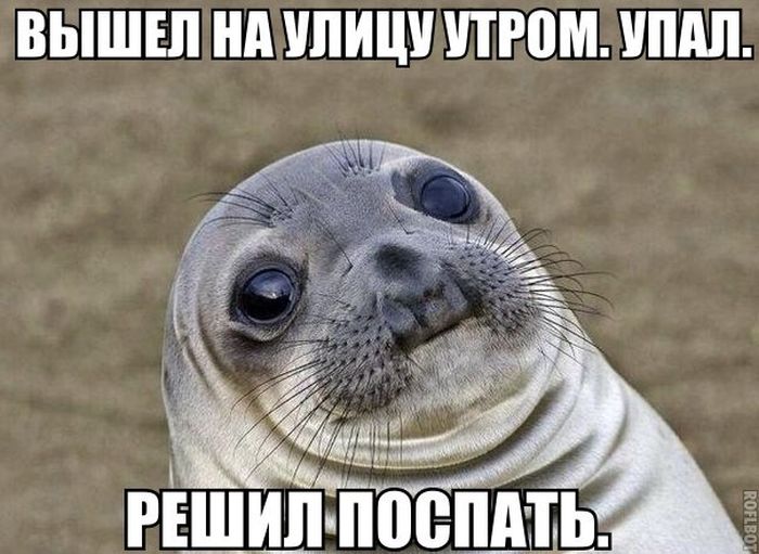 Прикольные картинки (83 фото)
