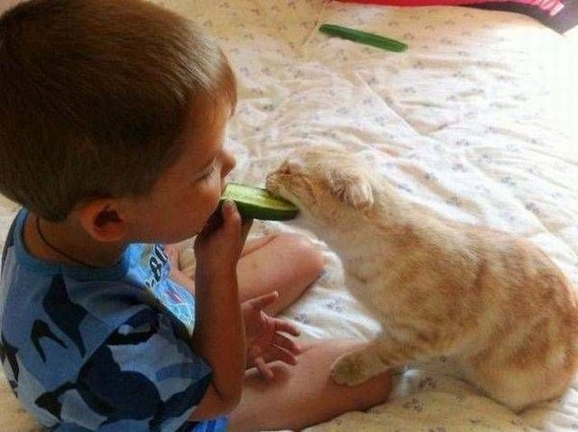 Прикольные картинки