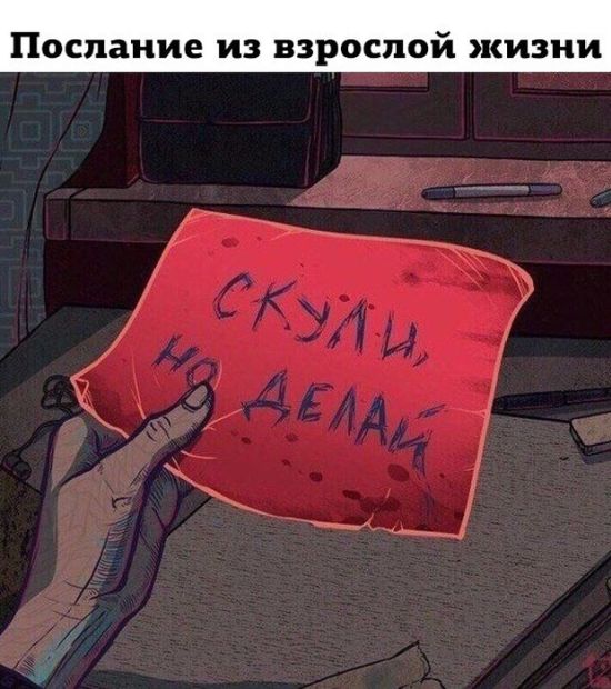 Прикольные картинки