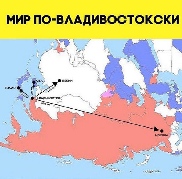 Прикольные картинки