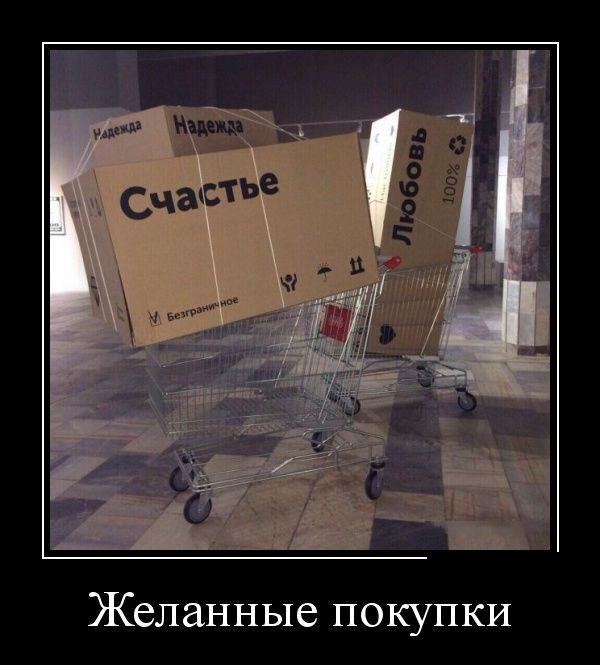 Демотиваторы