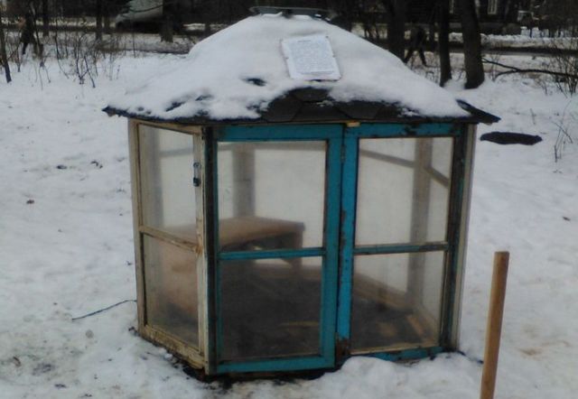 Как небезразличные люди ворону спасли
