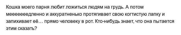 Странные привычки домашних питомцев, которые вызывают много вопросов