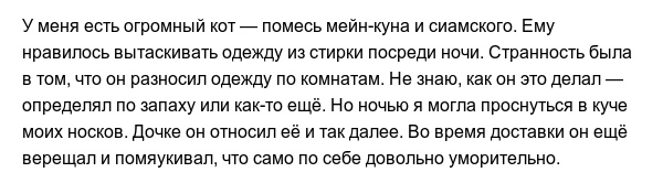 Странные привычки домашних питомцев, которые вызывают много вопросов