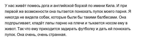 Странные привычки домашних питомцев, которые вызывают много вопросов
