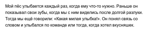 Странные привычки домашних питомцев, которые вызывают много вопросов