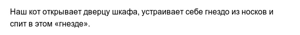 Странные привычки домашних питомцев, которые вызывают много вопросов