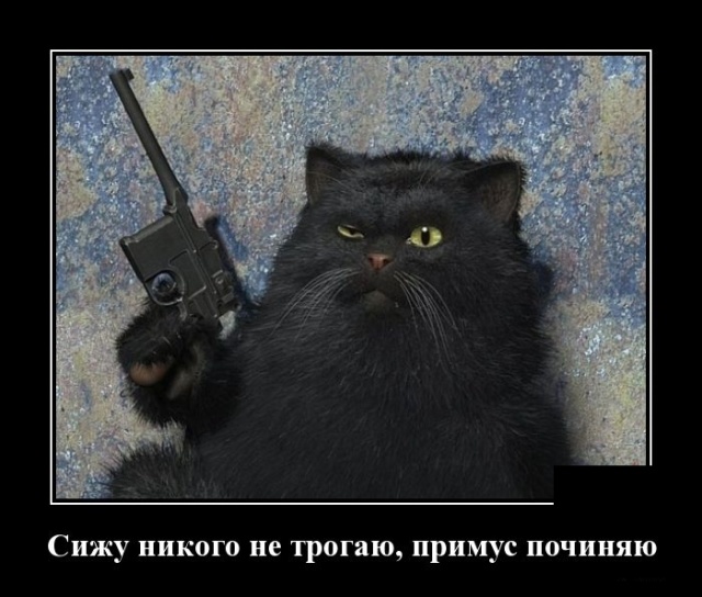 Демотиваторы
