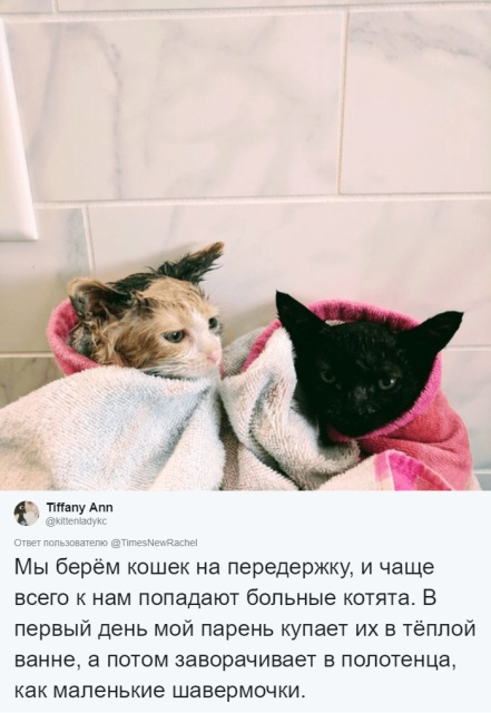 Пользователи сети делятся позитивными историями о близких людях
