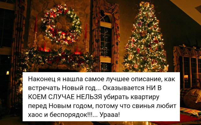 Высказывания и истории из социальных сетей