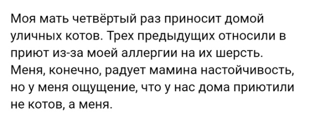 Высказывания и истории из социальных сетей