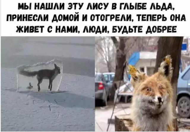 Простые шутки и картинки с просторов сети