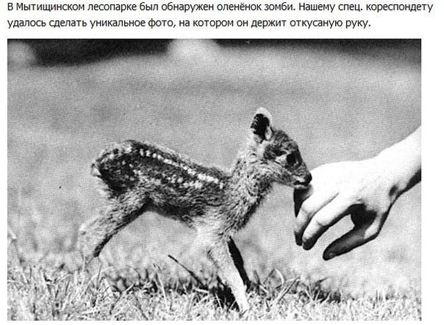 Простые шутки и картинки с просторов сети