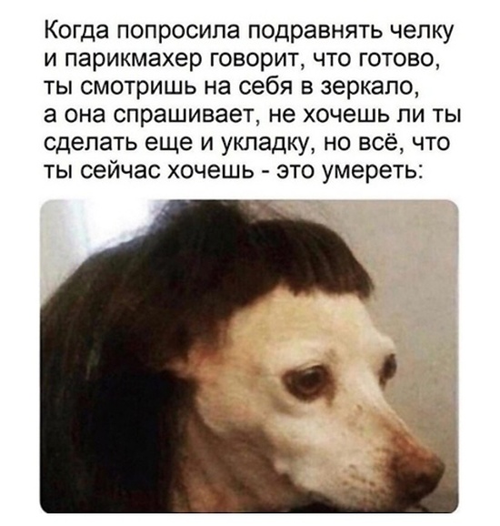 Простые шутки и картинки с просторов сети