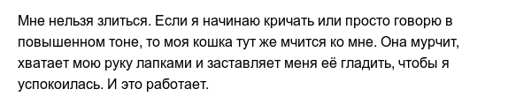 Странные привычки домашних питомцев, которые вызывают много вопросов