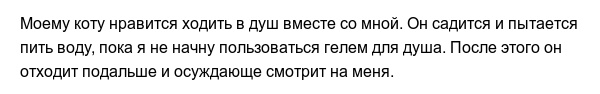 Странные привычки домашних питомцев, которые вызывают много вопросов