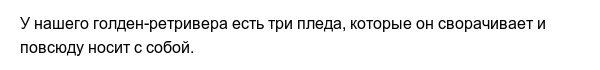 Странные привычки домашних питомцев, которые вызывают много вопросов