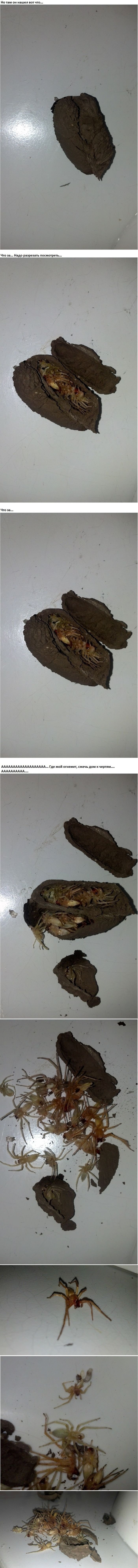 Ужасы с потолка