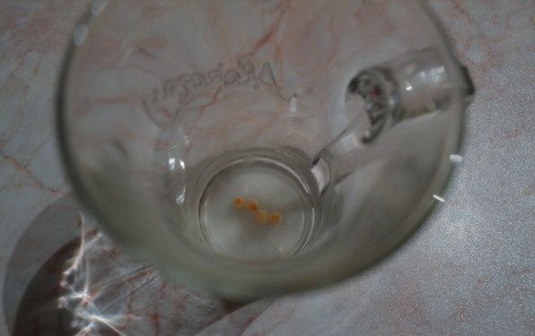 История с икрой (7 фото)
