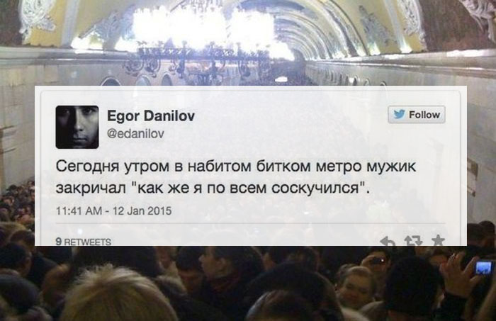 Порция картинок